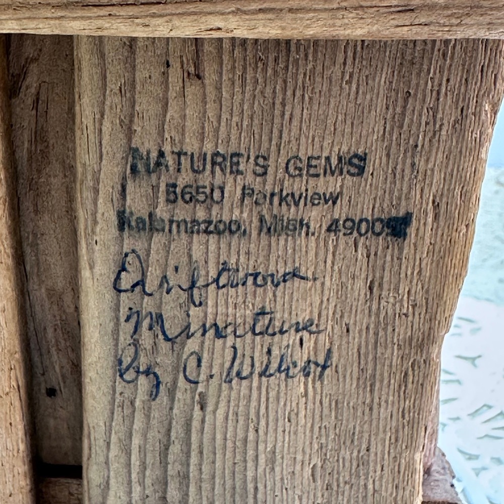 Nature's Gems Driftwood Miniature Sculpture C. Wilcot Brown Vintage Coastal Art - Picture 6 of 14